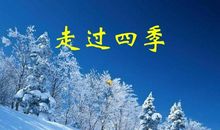 初二作文：我从四季走过