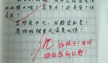 小学生优秀作文火了，老师：被你感动！网友：什么都敢写啊