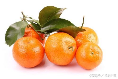 松岙蜜桔 我的家乡特产作文300字