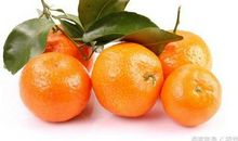 松岙蜜桔 我的家乡特产作文300字