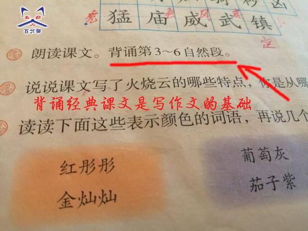 如果提高中小学作文分数?20年的语文老教师给5点忠告,值得收藏 1