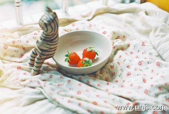 阳光灿烂心情好的句子 3