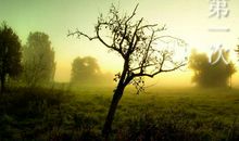 关于教训的作文：一次深刻的教训