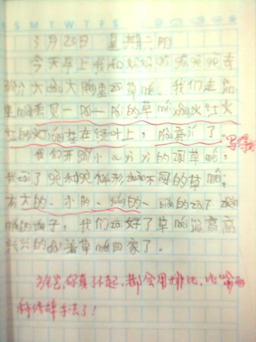 身影作文850字