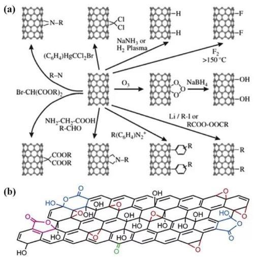 碳纳米管功能化的途径机理和表面特征探析论文