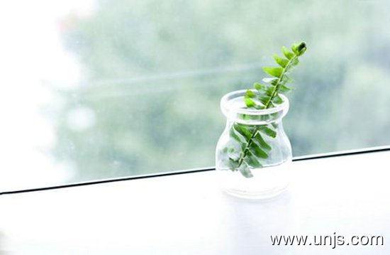 阳光灿烂心情好的句子 1