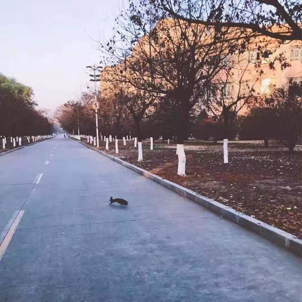 原创学生作文：《我最喜欢的季节》 1