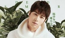 姐妹，兄弟，大过天 读《夏至未至》有感1000字