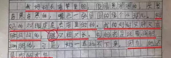 爸爸看了儿子的作文后：爸爸对你很失望！ 12