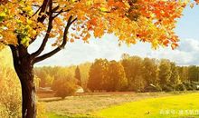 五年级作文：秋天