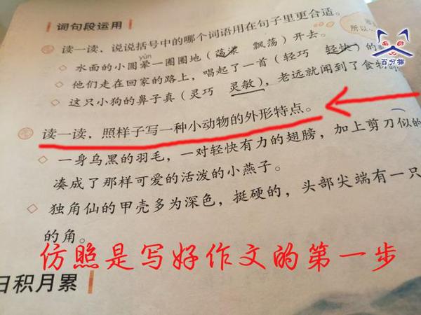 如果提高中小学作文分数?20年的语文老教师给5点忠告,值得收藏 2