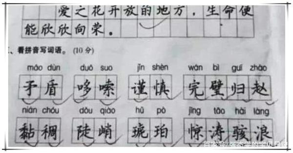 小学生满分作文走红,字体工整有文笔,老师自叹不如:字太漂亮了 4
