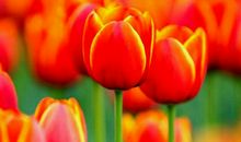 中学生作文训练要从最简单的地方开始