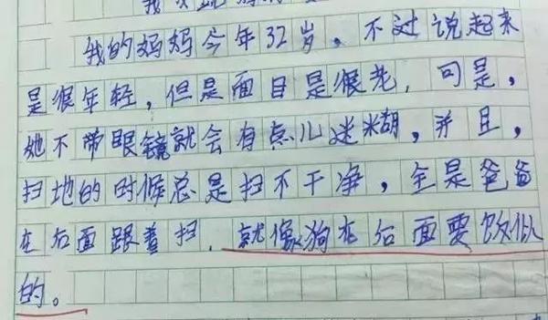 爸爸看了儿子的作文后：爸爸对你很失望！ 13