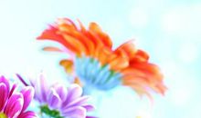 中考作文预测：走着走着，花就开了