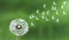 优秀作文锦集——在自信中成长