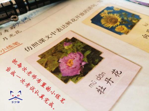 如果提高中小学作文分数?20年的语文老教师给5点忠告,值得收藏 3
