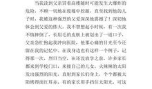 《绿叶仙踪》读后感 小学生优秀读后感作文300字