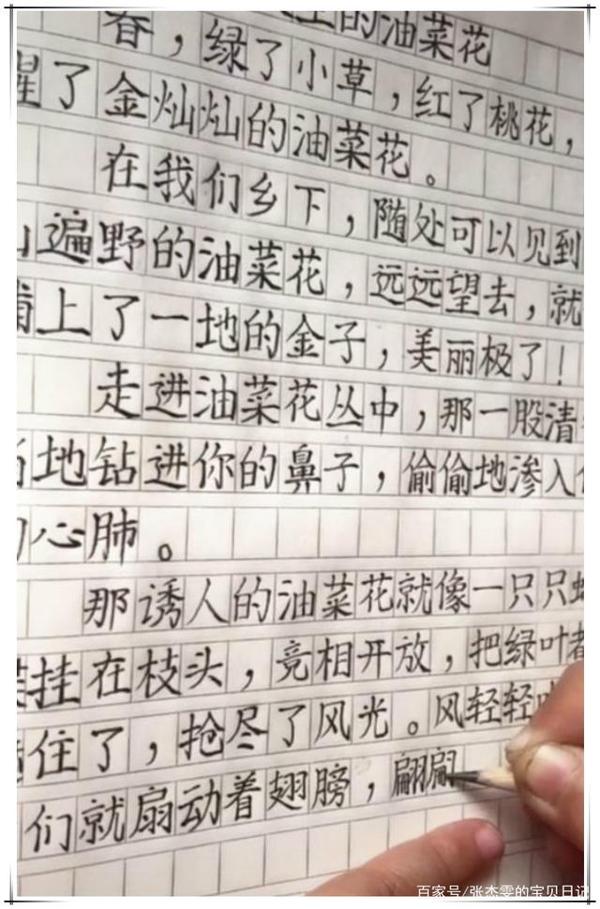 小学生满分作文走红,字体工整有文笔,老师自叹不如:字太漂亮了 2