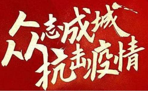 众志成城抗击疫情 优秀记叙文1000字