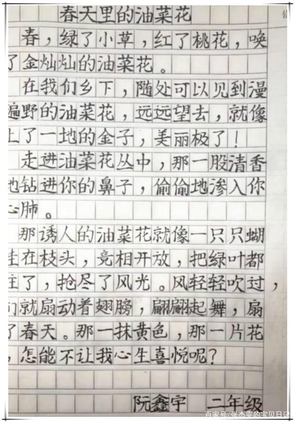 小学生满分作文走红,字体工整有文笔,老师自叹不如:字太漂亮了 1