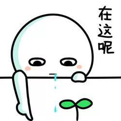 作文“起步”很简单，教你练好作文“基本功” 5