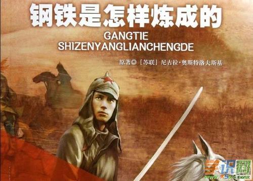 磨练促使成功 读《钢铁是怎样炼成的》有感700字