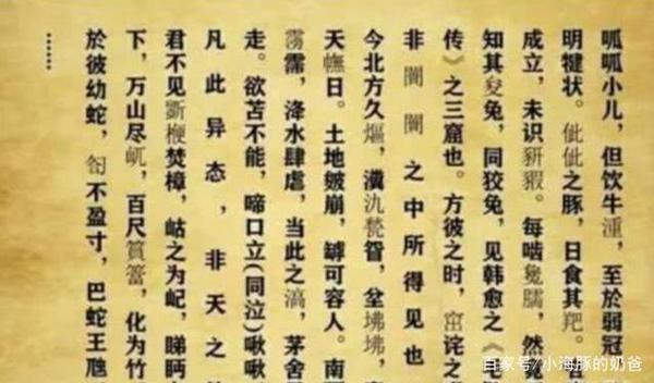 “兴趣是孩子最好的老师!”高中生因一篇作文,破格被985大学录取 1