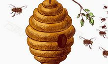 蜂巢在食品业中前瞻论文