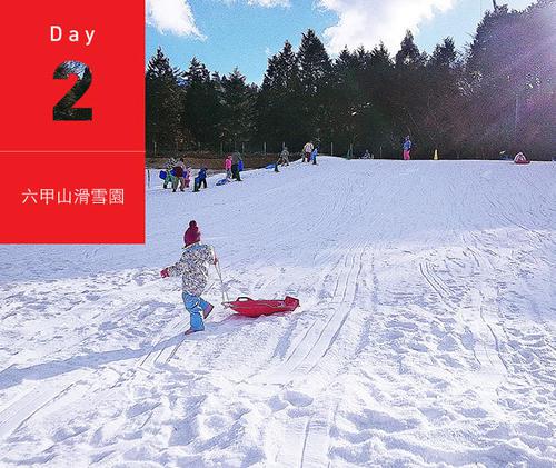 滑雪 滑雪的乐趣300字作文