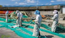 石塘游作文650字