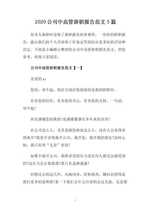 高管辞职报告范文模板4篇