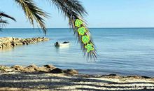 《开封汴绣》小学高年级的作文文笔如何提升