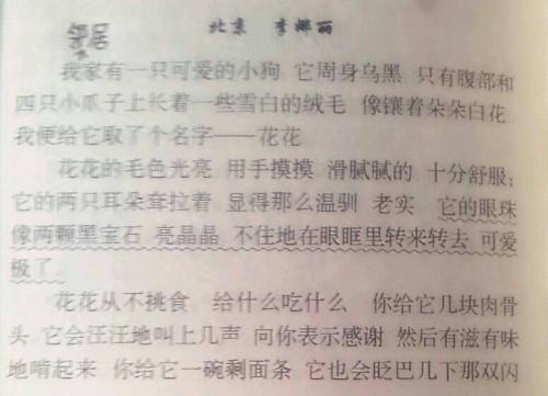 小白最让人讨厌作文