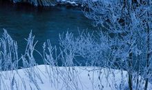 冬天的写诗种字散文诗歌欣赏