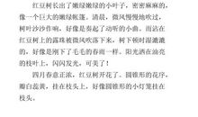 院子里的红豆树-写物的作文600字