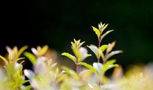 学生作文｜唱向英雄的赞歌