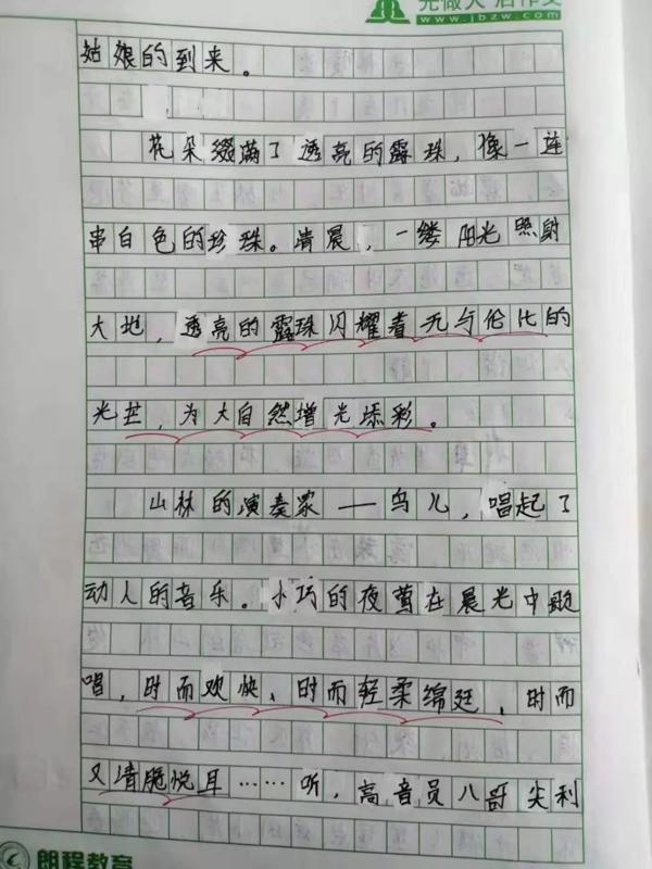 【育成讯息】作文=1/2语文 10