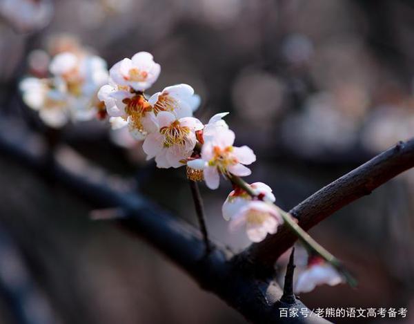 高考作文最新素材18:青春的力量 时代的脊梁 1