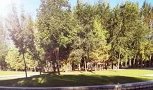 【阅优秀文章，感文字美好】-高级英语作文展示