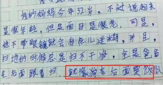 小学生作文“我的妈妈”,学霸的文采老师佩服不已:用词犀利准确 1