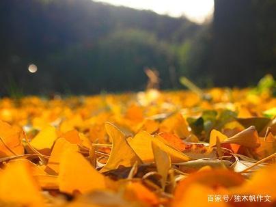 六年级作文:寒冬里的温暖