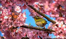 高考作文最新素材18：青春的力量 时代的脊梁