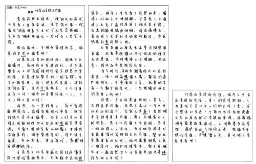 遗弃的落叶作文