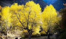 三年级学生刚开始接触作文，家长如何指导他们写作文