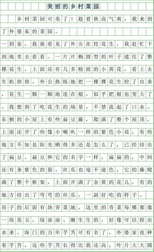 乡村傍晚-小学写景作文250字