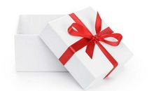 一个特别的礼物 特殊的礼物作文900字