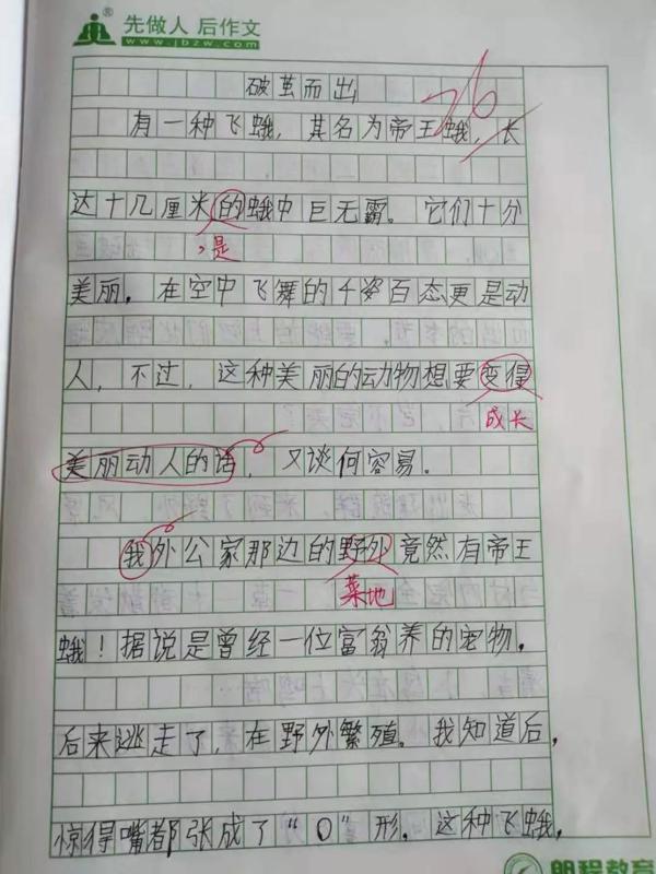 【育成讯息】作文=1/2语文 13