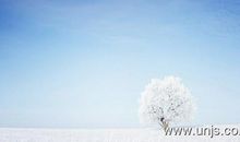 冬天飘雪散文欣赏