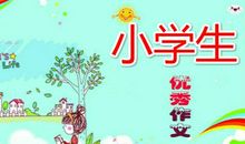 我们的校园小学生优秀作文